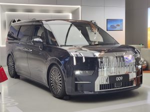 Zeekr 2024 009 · Black — 25,000 km, USD 75,000